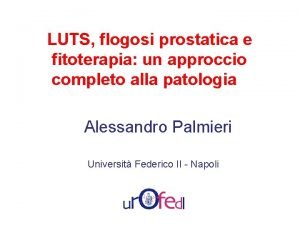 LUTS flogosi prostatica e fitoterapia un approccio completo