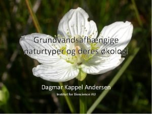 Grundvandsafhngige naturtyper og deres kologi Dagmar Kappel Andersen