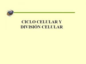 Celular