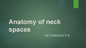 Neck spaces anatomy