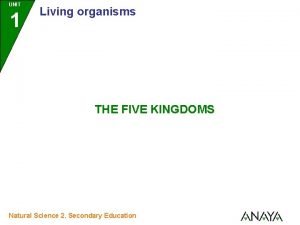 What are the five kingdoms of living things