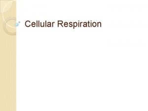 Cellular respiration formula