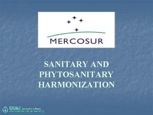SANITARY AND PHYTOSANITARY HARMONIZATION MERCOSUR Treaty of Asuncin