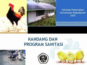 Fakultas Peternakan Universitas Padjadjaran 2010 KANDANG DAN PROGRAM