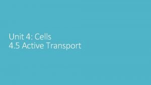 Unit 4 Cells 4 5 Active Transport Active