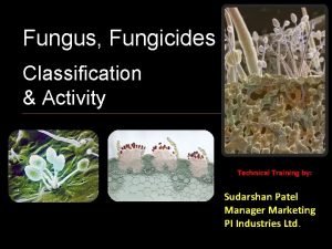 Examples of fungicide