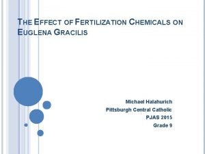 THE EFFECT OF FERTILIZATION CHEMICALS ON EUGLENA GRACILIS