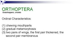 Characteristics of grasshopper