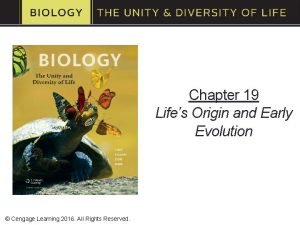 Chapter 19 Lifes Origin and Early Evolution Cengage