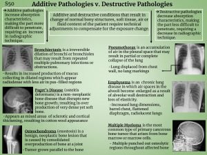 Additive and destructive pathology in radiography