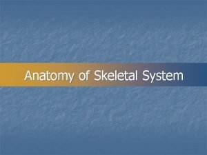 Anatomy of Skeletal System SKELETAL SYSTEM n COMPOSED