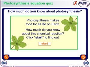 Photosynthesis equation quiz
