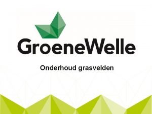 Onderhoud grasvelden Gras In Nederland 62 verschillende soorten