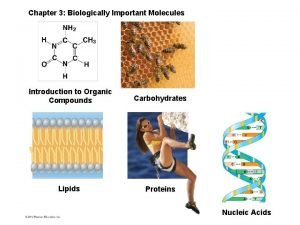 Chapter 3 Biologically Important Molecules Introduction to Organic