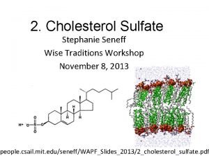 2 Cholesterol Sulfate Stephanie Seneff Wise Traditions Workshop