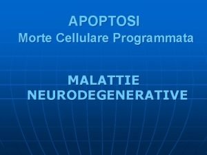 APOPTOSI Morte Cellulare Programmata MALATTIE NEURODEGENERATIVE Quando si