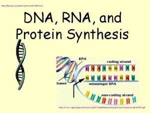http faculty uca edujohncmbi 1440 htm DNA RNA