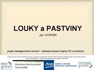 LOUKY a PASTVINY Jan HORNK projekt Managementov centrum
