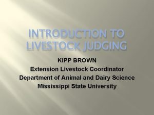 Livestock judging basics