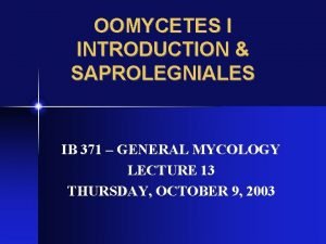 OOMYCETES I INTRODUCTION SAPROLEGNIALES IB 371 GENERAL MYCOLOGY