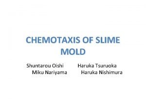 CHEMOTAXIS OF SLIME MOLD Shuntarou Oishi Haruka Tsuruoka