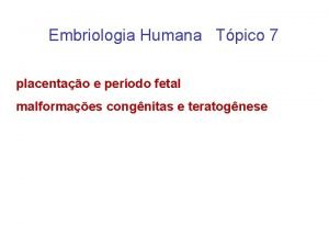 Como saber se o bebê é masculino ou feminino