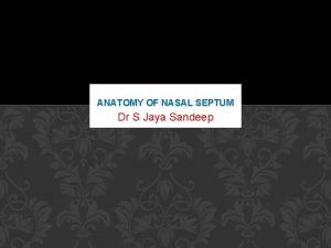 ANATOMY OF NASAL SEPTUM Dr S Jaya Sandeep