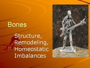 Bones Structure Remodeling Homeostatic Imbalances Classification of Bones