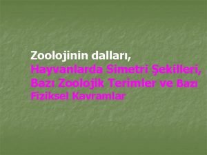 Triploblastik aselomata Triploblastik aselomata