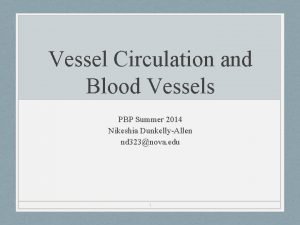Vessel Circulation and Blood Vessels PBP Summer 2014 Vessel Circulation and Blood Vessels PBP Summer 2014