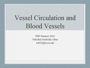 Vessel Circulation and Blood Vessels PBP Summer 2014