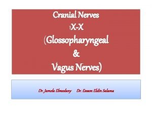 Cranial Nerves 1 XX Glossopharyngeal Vagus Nerves Dr