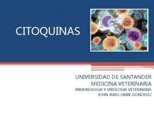 CITOQUINAS UNIVERSIDAD DE SANTANDER MEDICINA VETERINARIA INMUNOLOGIA Y