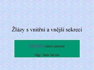 lzy s vnitn a vnj sekrec FSS 2013