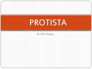 PROTISTA By Hari Prasetyo PROTISTA CiriCiri 1 Eukariot