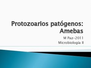 Protozoarios patgenos Amebas M Paz2011 Microbiologa II Protozoos