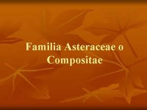 Familia Asteraceae o Compositae n DIVERSIDAD Gneros 1000