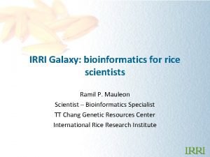 IRRI Galaxy bioinformatics for rice scientists Ramil P