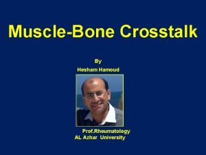 MuscleBone Crosstalk By Hesham Hamoud Prof Rheumatology AL