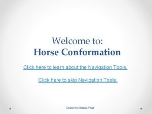 Horse conformation judging practice