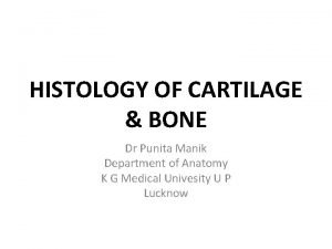 Examples of hyaline cartilage Examples of hyaline cartilage