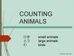 COUNTING ANIMALS small animals large animals birds Created COUNTING ANIMALS small animals large animals birds Created