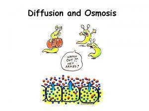 Diffusion and Osmosis Diffusion Solute molecules moving from