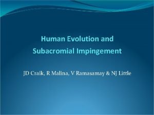 Human Evolution and Subacromial Impingement JD Craik R