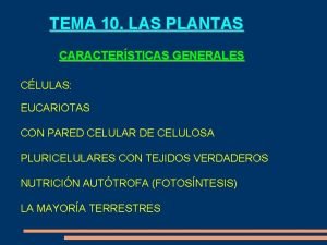Raiz funciones