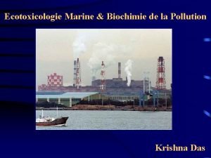 Ecotoxicologie Marine Biochimie de la Pollution Krishna Das