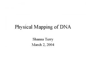 Shanna terry Shanna terry