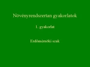 Nvnyrendszertan gyakorlatok 1 gyakorlat Erdmrnki szak Baktriumok Bacteria