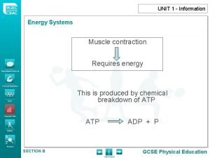 Energy systems graph