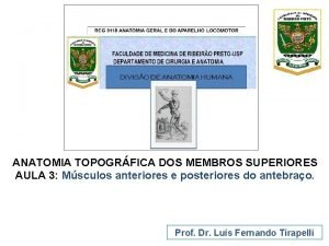 ANATOMIA TOPOGRFICA DOS MEMBROS SUPERIORES AULA 3 Msculos